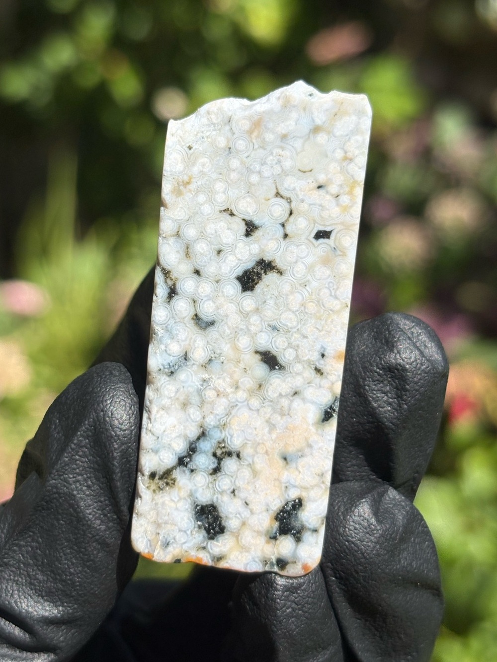 Discounted* Chipped Ocean Jasper Crystal Freeform - Polished Sea Jasper - OBJ